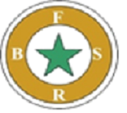 Bright Future Society Logo